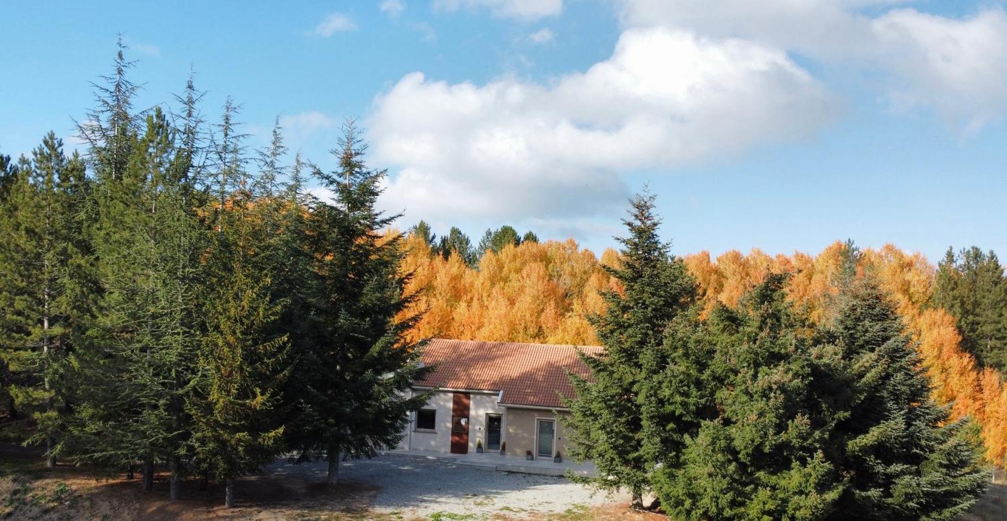 Villa Dei Larici Camigliatello Silano Esterno foto