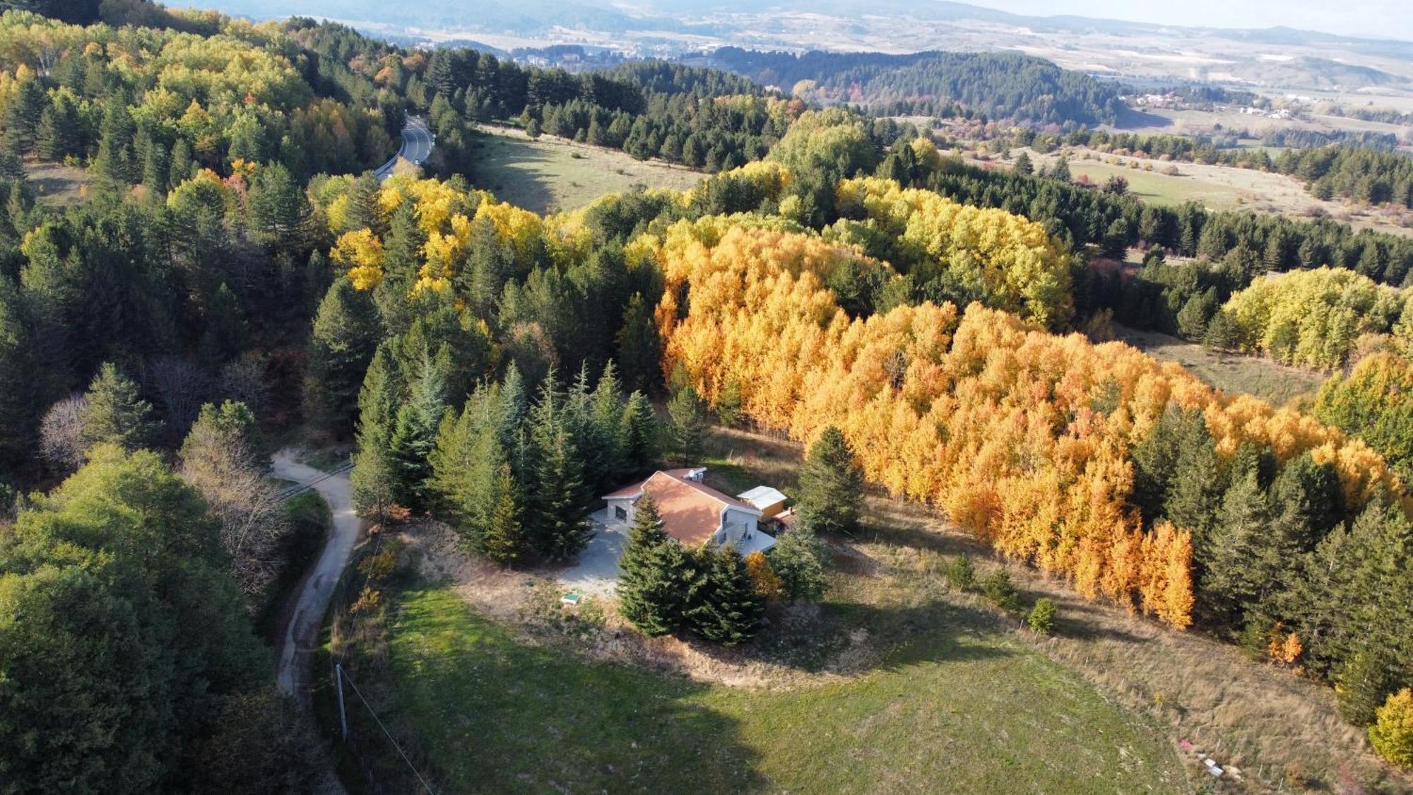 Villa Dei Larici Camigliatello Silano Esterno foto