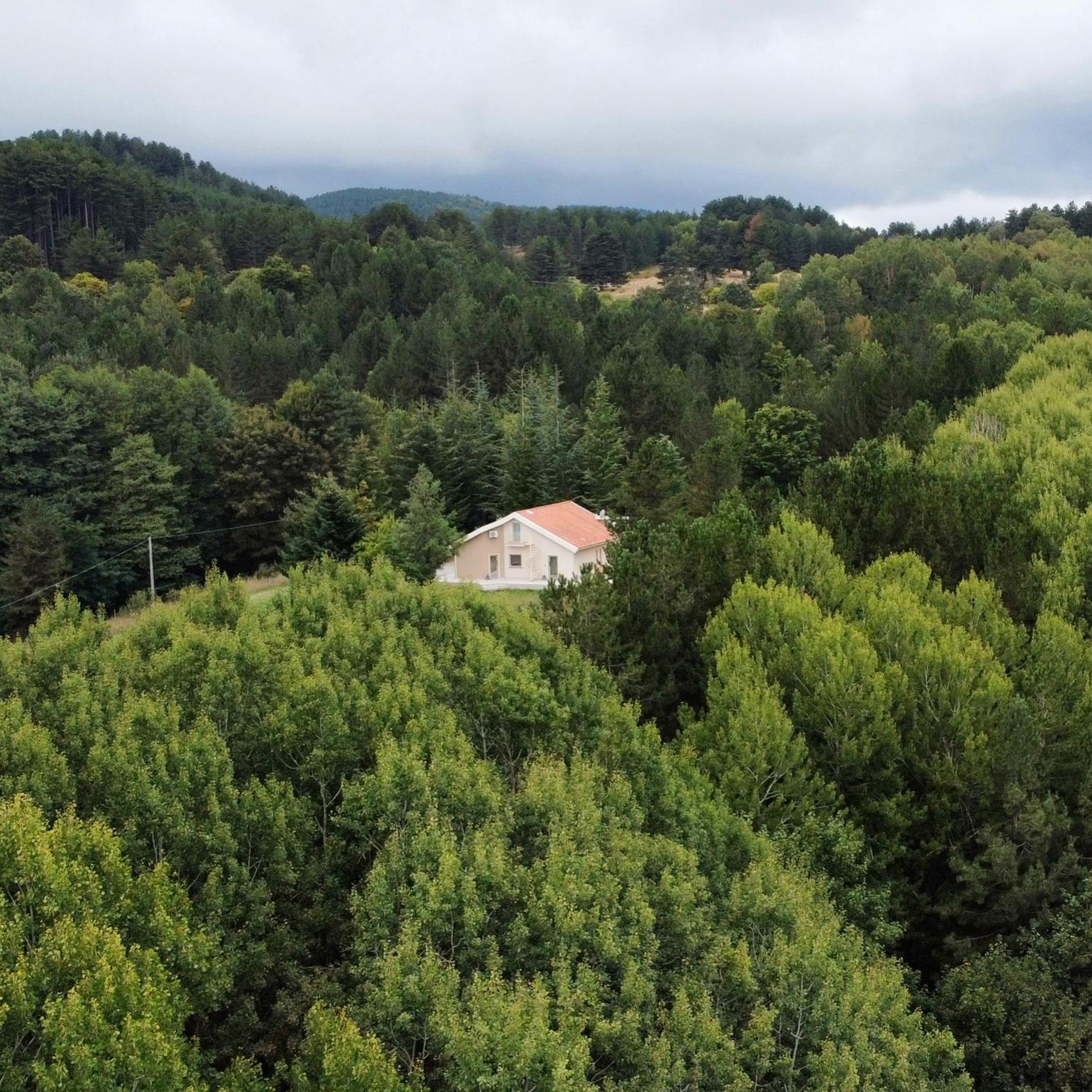 Villa Dei Larici Camigliatello Silano Esterno foto